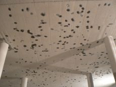 Betoninstandsetzung Fachgerechte Betoninstandsetzu